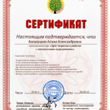 сертификат_5